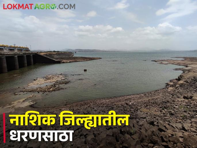 latest News Water Storage In nashik district dams with gangapur dam | नाशिक जिल्ह्यातील कुठल्या धरणात किती पाणी? जाणून घ्या सविस्तर latest News Water Storage In nashik district dams with gangapur dam | नाशिक जिल्ह्यातील कुठल्या धरणात किती पाणी? जाणून घ्या सविस्तर