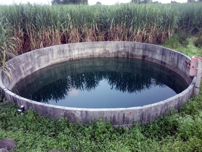 Ground water level increased by one and a half meters in Parbhani district | परभणी जिल्ह्यात दीड मीटरने वाढली भूजल पातळी Ground water level increased by one and a half meters in Parbhani district | परभणी जिल्ह्यात दीड मीटरने वाढली भूजल पातळी