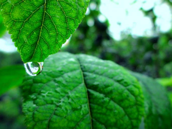 Rural water conservation in urbanization rewarded elections | शहरीकरण पुरस्कृत निवडणुकीत ग्रामीण जलसंकट Rural water conservation in urbanization rewarded elections | शहरीकरण पुरस्कृत निवडणुकीत ग्रामीण जलसंकट