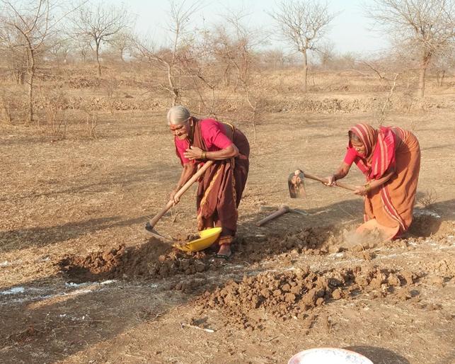 To win the Water Cup, 26 villages in North Solapur taluka, Sarsawali | वॉटर कप जिंकण्यासाठी उत्तर सोलापूर तालुक्यातील २६ गावे सरसावली
