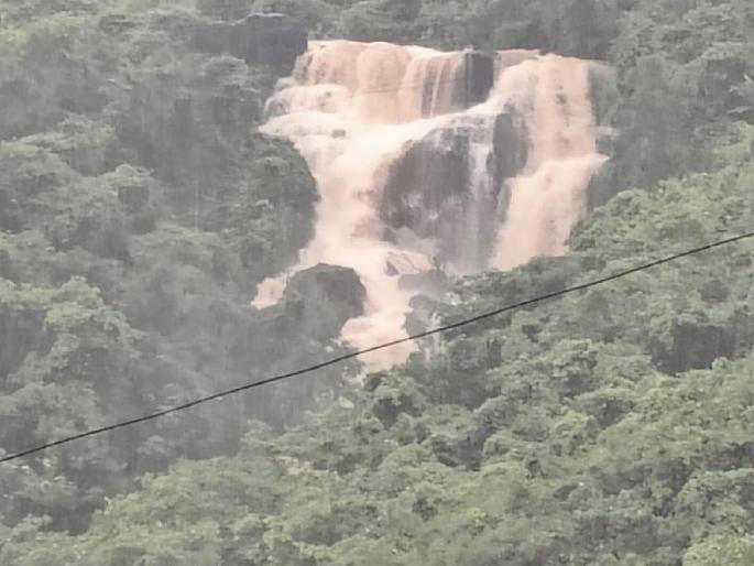 in mumbai the goregaon dindoshi forest concreting by the developer the road leading to the waterfall was closed | गोरेगाव-दिंडोशी जंगलात विकासकाकडून काँक्रिटीकरण, धबधब्याकडे जाणारा रस्ता केला बंद in mumbai the goregaon dindoshi forest concreting by the developer the road leading to the waterfall was closed | गोरेगाव-दिंडोशी जंगलात विकासकाकडून काँक्रिटीकरण, धबधब्याकडे जाणारा रस्ता केला बंद