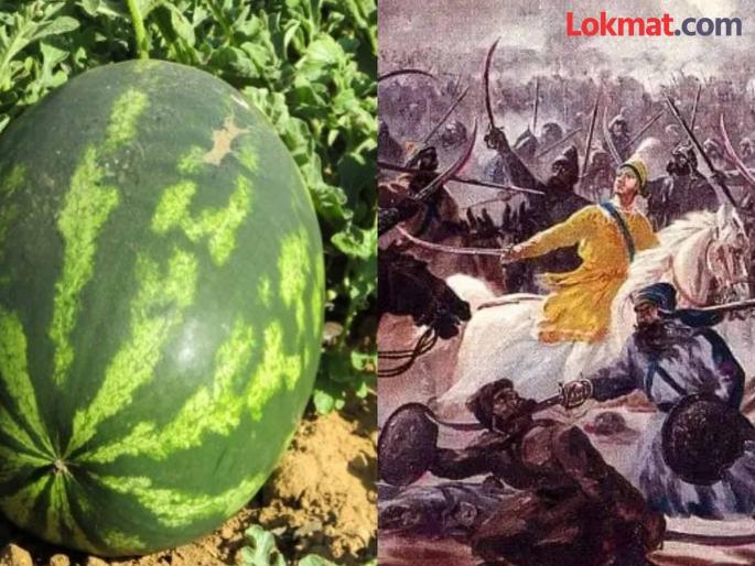 Story of war between two bikaner and nagaur principality for a watermelon know the reason behind it | कमाल! एका कलिंगडासाठी झालं होतं मोठं युद्ध, हजारो सैनिकांचा गेला होता जीव; कारण... Story of war between two bikaner and nagaur principality for a watermelon know the reason behind it | कमाल! एका कलिंगडासाठी झालं होतं मोठं युद्ध, हजारो सैनिकांचा गेला होता जीव; कारण...