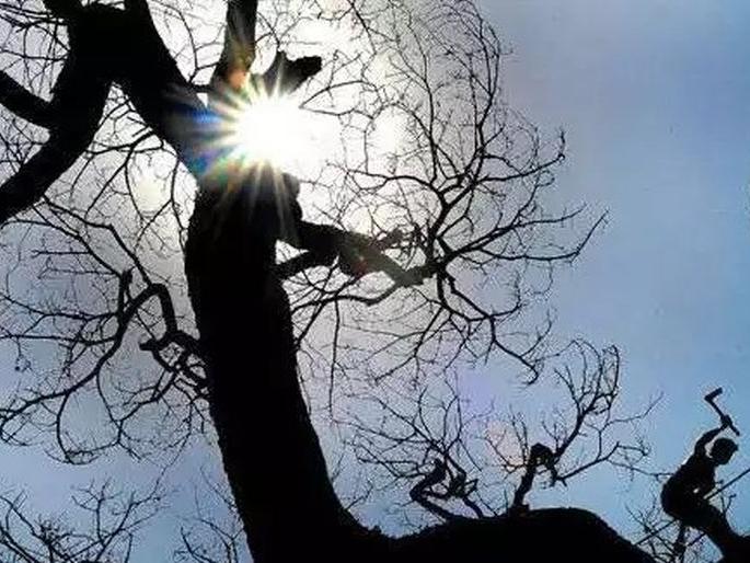 Heat wave in Nagpur; Mercury may cross 47 degrees Celsius | नागपूर की ‘भट्टी’पूर; पारा जाणार ४७ अंश सेल्सिअस पार Heat wave in Nagpur; Mercury may cross 47 degrees Celsius | नागपूर की ‘भट्टी’पूर; पारा जाणार ४७ अंश सेल्सिअस पार