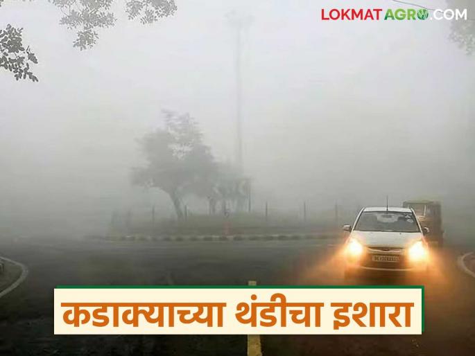 latest news Maharashtra Weather Update: Warning of severe cold in 'this' part of the state; IMD alert issued Read in detail | Maharashtra Weather Update : राज्यातील 'या' भागात कडाक्याच्या थंडीचा इशारा; IMD चा अलर्ट जारी वाचा सविस्तर latest news Maharashtra Weather Update: Warning of severe cold in 'this' part of the state; IMD alert issued Read in detail | Maharashtra Weather Update : राज्यातील 'या' भागात कडाक्याच्या थंडीचा इशारा; IMD चा अलर्ट जारी वाचा सविस्तर