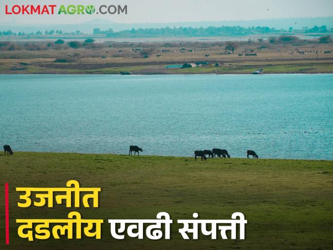 Thousands of crores of black gold soil, sand hidden in the belly of Ujani Dam? | उजनी धरणाच्या पोटात दडलंय हजारो कोटींचं काळं सोनं?