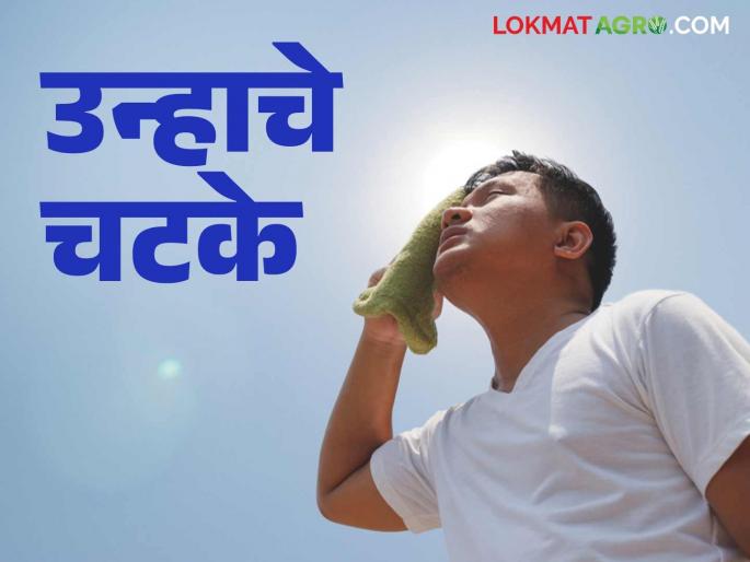 Maharashtra Weather Update: What will the weather be like on Valentine's Day in the state; Read the IMD report in detail | Maharashtra Weather Update: राज्यात व्हॅलेंटाईन डे ला कसे असेल हवामान; वाचा IMD रिपोर्ट सविस्तर Maharashtra Weather Update: What will the weather be like on Valentine's Day in the state; Read the IMD report in detail | Maharashtra Weather Update: राज्यात व्हॅलेंटाईन डे ला कसे असेल हवामान; वाचा IMD रिपोर्ट सविस्तर