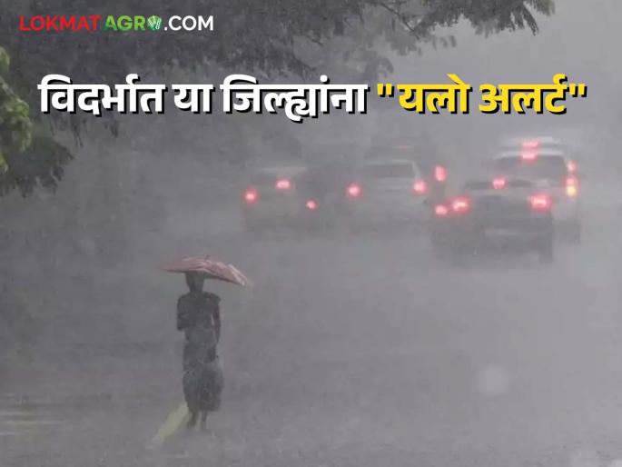 Maharashtra weather update : Low pressure area over Bay of Bengal, chances of scattered rains at 'this' place Read detailed IMD report | Maharashtra weather Update :  बंगालच्या उपसागरात कमी दाबचे क्षेत्र, 'या' ठिकाणी तुरळक पावसाची शक्यता वाचा सविस्तर IMD रिपोर्ट Maharashtra weather update : Low pressure area over Bay of Bengal, chances of scattered rains at 'this' place Read detailed IMD report | Maharashtra weather Update :  बंगालच्या उपसागरात कमी दाबचे क्षेत्र, 'या' ठिकाणी तुरळक पावसाची शक्यता वाचा सविस्तर IMD रिपोर्ट