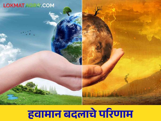 Weather: What will be the consequences if carbon emissions are not reduced? Read in detail | Weather : कार्बन उत्सर्जन कमी प्रमाणात न झाल्यास काय होतील दुष्परिणाम? वाचा सविस्तर Weather: What will be the consequences if carbon emissions are not reduced? Read in detail | Weather : कार्बन उत्सर्जन कमी प्रमाणात न झाल्यास काय होतील दुष्परिणाम? वाचा सविस्तर