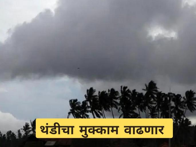 Latest News Cold weather in Nashik, Mumbai but rain and hailstorm in Vidarbha, read weather forecast | नाशिक, मुंबईला थंडी तरी विदर्भात पाऊस अन् गारपीट, वाचा हवामान अंदाज  Latest News Cold weather in Nashik, Mumbai but rain and hailstorm in Vidarbha, read weather forecast | नाशिक, मुंबईला थंडी तरी विदर्भात पाऊस अन् गारपीट, वाचा हवामान अंदाज