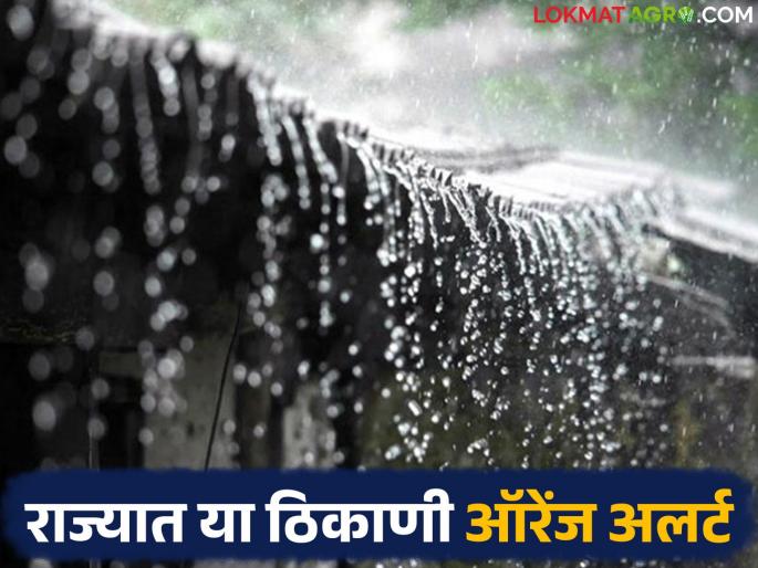 Orange alert in these districts for the next two days in the state; Heavy rains likely | राज्यात पुढील दोन दिवसांसाठी या जिल्ह्यांत ऑरेंज अलर्ट; मुसळधार पावसाची शक्यता Orange alert in these districts for the next two days in the state; Heavy rains likely | राज्यात पुढील दोन दिवसांसाठी या जिल्ह्यांत ऑरेंज अलर्ट; मुसळधार पावसाची शक्यता