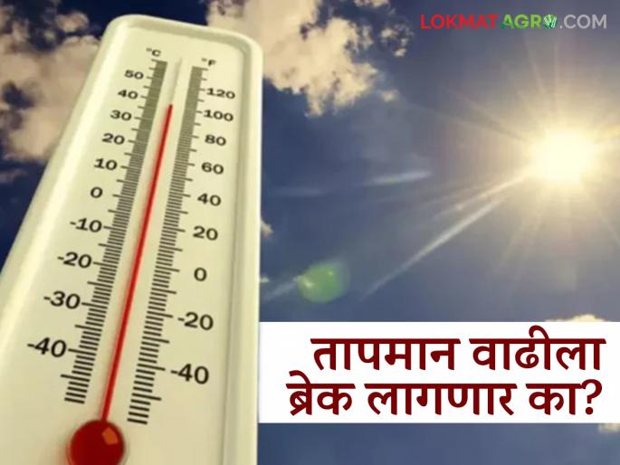Maharashtra Weather News: latest news Will there be a 'break' in the rise in temperature? Read the IMD report in detail | Maharashtra Weather News: तापमान वाढीला लागणार का 'ब्रेक'? IMD रिपोर्ट वाचा सविस्तर Maharashtra Weather News: latest news Will there be a 'break' in the rise in temperature? Read the IMD report in detail | Maharashtra Weather News: तापमान वाढीला लागणार का 'ब्रेक'? IMD रिपोर्ट वाचा सविस्तर