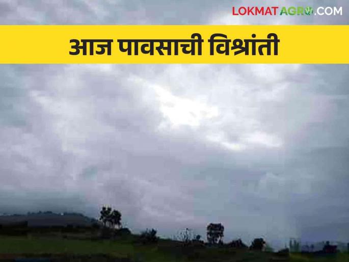 Maharashtra Weather Update: Rain will take relief today; End of the week warming continued! | Maharashtra Weather Update : आज पाऊस घेणार आराम; आठवड्याच्या शेवटी तापमानवाढ कायम! Maharashtra Weather Update: Rain will take relief today; End of the week warming continued! | Maharashtra Weather Update : आज पाऊस घेणार आराम; आठवड्याच्या शेवटी तापमानवाढ कायम!
