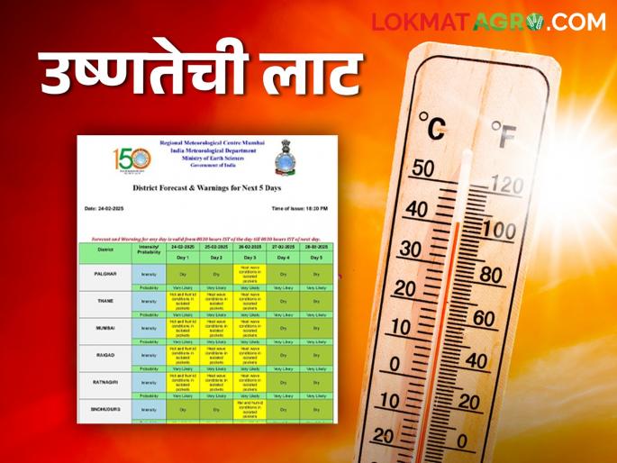 Heatwave alert: Heatwave warning in 'this' district of the state; Read IMD report in detail | Heatwave alert: राज्यात 'या' जिल्ह्यात उष्णतेच्या लाटेचा इशारा; वाचा IMD रिपोर्ट सविस्तर Heatwave alert: Heatwave warning in 'this' district of the state; Read IMD report in detail | Heatwave alert: राज्यात 'या' जिल्ह्यात उष्णतेच्या लाटेचा इशारा; वाचा IMD रिपोर्ट सविस्तर