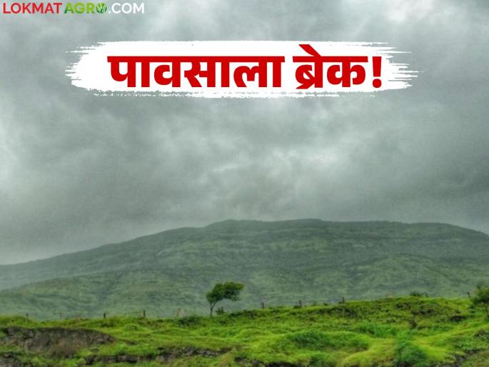 latest news Maharashtra Weather Update: Big change in weather: Rains take a break; But heat will increase again! | Maharashtra Weather Update : हवामानात मोठा बदल: पावसाने घेतला ब्रेक; पण उकाडा पुन्हा वाढणार!