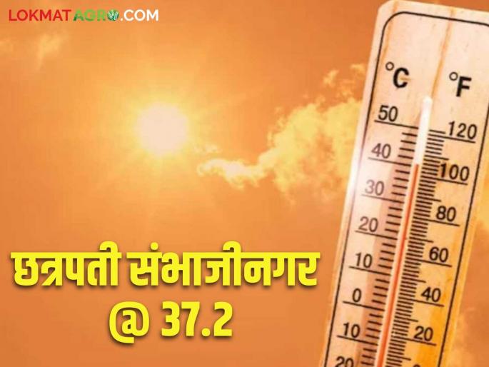 Maharashtra Weather Update: Heat wave warning remains; What does today's IMD report say? | Maharashtra Weather Update : उष्णतेच्या लाटेचा इशारा कायम; काय सांगतोय आजचा IMD रिपोर्ट Maharashtra Weather Update: Heat wave warning remains; What does today's IMD report say? | Maharashtra Weather Update : उष्णतेच्या लाटेचा इशारा कायम; काय सांगतोय आजचा IMD रिपोर्ट