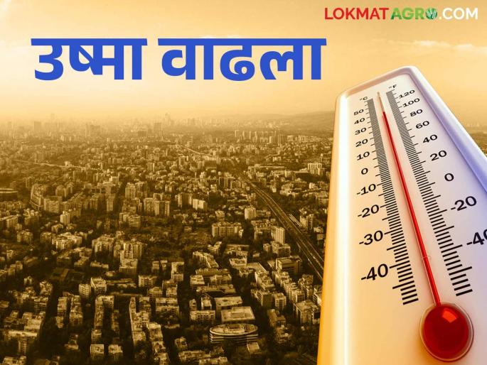 Maharashtra Weather Update: latest news Heat is increasing in the state, on the other hand, there is a crisis of unseasonal weather, read the IMD report in detail | Maharashtra Weather Update: राज्यात उष्मा वाढतोय तर दुसरीकडे अवकाळीचं संकट वाचा IMD रिपोर्ट सविस्तर Maharashtra Weather Update: latest news Heat is increasing in the state, on the other hand, there is a crisis of unseasonal weather, read the IMD report in detail | Maharashtra Weather Update: राज्यात उष्मा वाढतोय तर दुसरीकडे अवकाळीचं संकट वाचा IMD रिपोर्ट सविस्तर