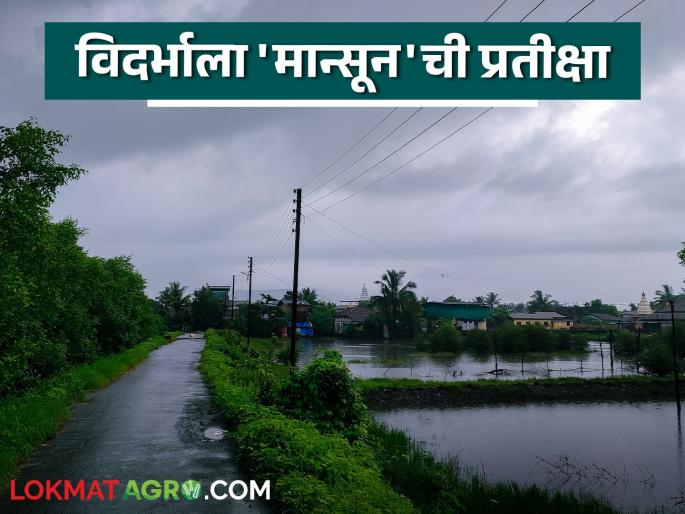 latest news Vidarbha Monsoon Update: Heat wave in Vidarbha; Chance of monsoon only after 'this' date Read in detail | Vidarbha Monsoon Update : विदर्भात उकाड्याची लाट; 'या' तारखेनंतरच पावसाची शक्यता वाचा सविस्तर latest news Vidarbha Monsoon Update: Heat wave in Vidarbha; Chance of monsoon only after 'this' date Read in detail | Vidarbha Monsoon Update : विदर्भात उकाड्याची लाट; 'या' तारखेनंतरच पावसाची शक्यता वाचा सविस्तर