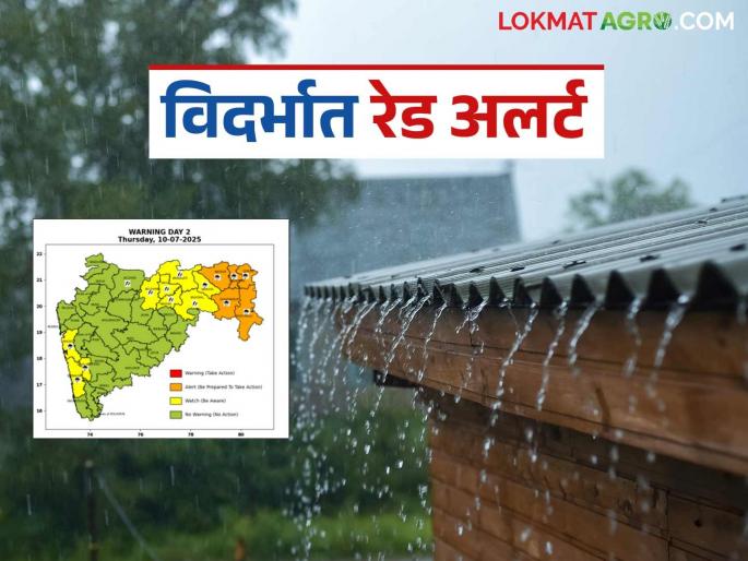 latest news Maharashtra Weather Update: Heavy rain continues in Vidarbha; Know the region-wise weather forecast | Maharashtra Weather Update : विदर्भात पावसाचा जोर कायम; जाणून घ्या विभागनिहाय हवामान अंदाज