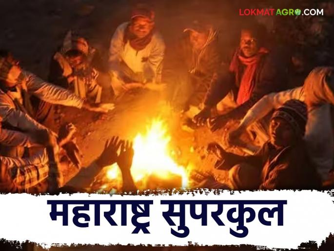 Maharashtra Weather Update : Cyclone in Bay of Bengal; How will the weather be today? Read IMD's report | Maharashtra Weather Update: बंगालच्या खाडीत येणार चक्रीवादळ; कसे असेल आजचे हवामान वाचा IMD चा रिपोर्ट