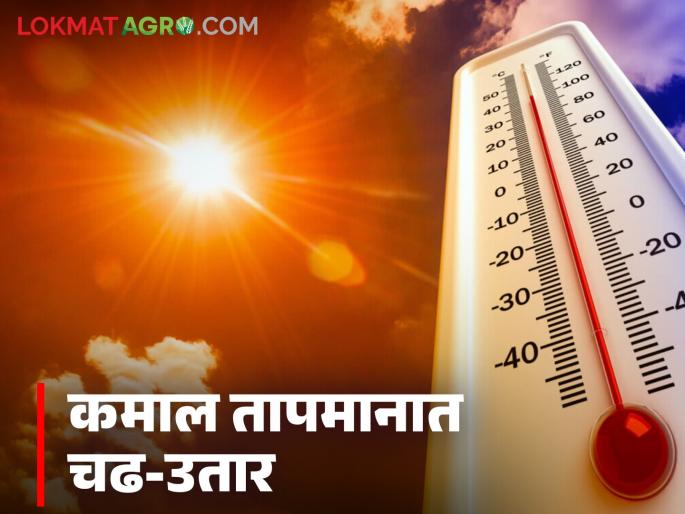Maharashtra Weather Update: Highest temperature recorded in 'this' district of Dhule; Read IMD report | Maharashtra Weather Update: धुळ्यात 'या' ठिकाणी सर्वाधिक तापमनाची नोंद; वाचा IMD रिपोर्ट Maharashtra Weather Update: Highest temperature recorded in 'this' district of Dhule; Read IMD report | Maharashtra Weather Update: धुळ्यात 'या' ठिकाणी सर्वाधिक तापमनाची नोंद; वाचा IMD रिपोर्ट