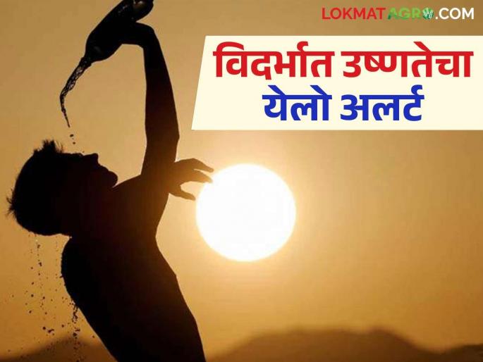 Maharashtra Weather Update: Heat wave warning in 'this' district of Vidarbha; Read today's IMD report in detail | Maharashtra Weather Update : विदर्भातील 'या' जिल्ह्यात उष्णतेच्या लाटेचा इशारा; आजचा IMD रिपोर्ट वाचा सविस्तर Maharashtra Weather Update: Heat wave warning in 'this' district of Vidarbha; Read today's IMD report in detail | Maharashtra Weather Update : विदर्भातील 'या' जिल्ह्यात उष्णतेच्या लाटेचा इशारा; आजचा IMD रिपोर्ट वाचा सविस्तर