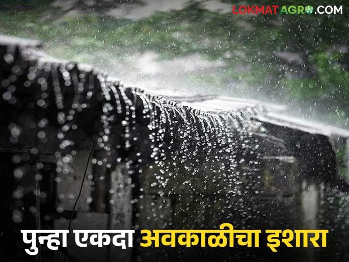 Maharashtra Weather Update: latest news Severe weather alert in 'these' districts in the state; Read IMD report in detail | Maharashtra Weather Update: राज्यात 'या' जिल्ह्यांमध्ये अवकाळीचा अलर्ट; वाचा IMD रिपोर्ट सविस्तर Maharashtra Weather Update: latest news Severe weather alert in 'these' districts in the state; Read IMD report in detail | Maharashtra Weather Update: राज्यात 'या' जिल्ह्यांमध्ये अवकाळीचा अलर्ट; वाचा IMD रिपोर्ट सविस्तर