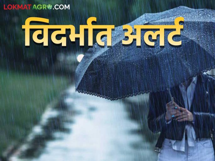 latest news Maharashtra Weather Update: Big change in weather; Where is rain in Maharashtra, where is rest? Read in detail | Maharashtra Weather Update : हवामानात मोठा बदल; महाराष्ट्रात कुठे पाऊस, कुठे विश्रांती? वाचा सविस्तर