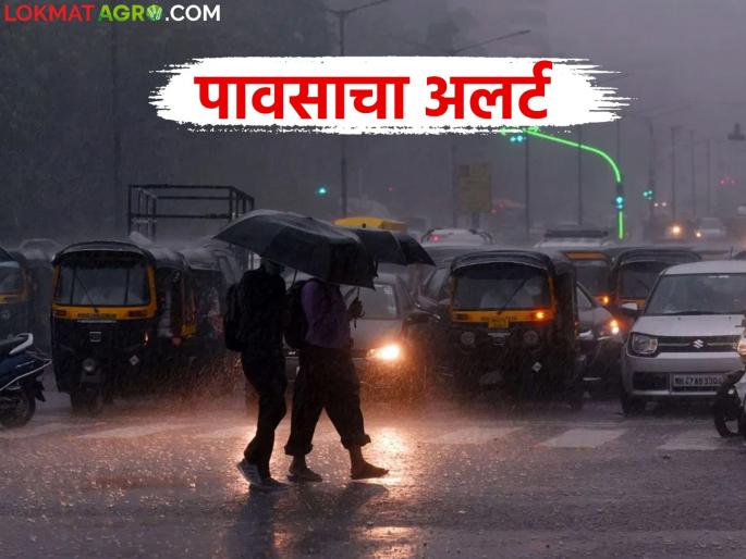 latest news Maharashtra Weather Update: Light showers in Konkan; Read the forecast of heavy rain in 'this' area in detail | Maharashtra Weather Update : कोकणात हलक्या सरी; 'या' भागात मुसळधार पावसाचा अंदाज वाचा सविस्तर latest news Maharashtra Weather Update: Light showers in Konkan; Read the forecast of heavy rain in 'this' area in detail | Maharashtra Weather Update : कोकणात हलक्या सरी; 'या' भागात मुसळधार पावसाचा अंदाज वाचा सविस्तर