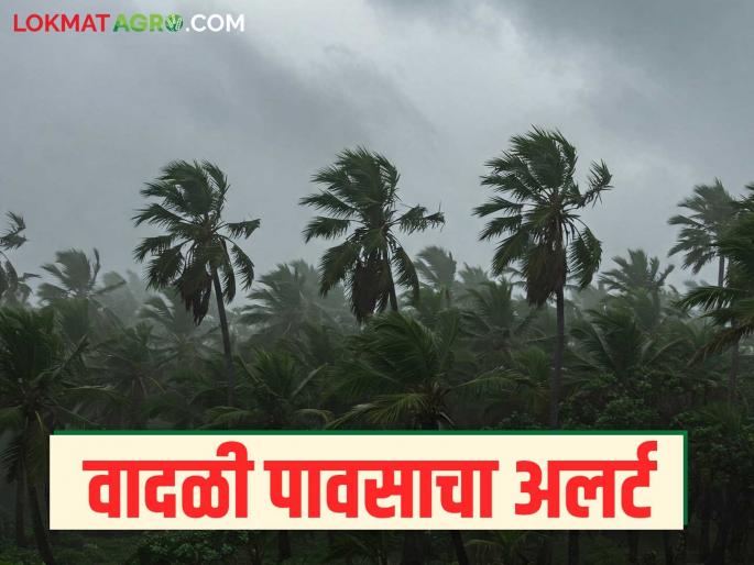 Maharashtra Weather Update: latest news Read the alert for dry spells and stormy rains in the state in detail | Maharashtra Weather Update: राज्यात एकीकडे उकडा तर दुसरे वादळी पावसाचा अलर्ट वाचा सविस्तर