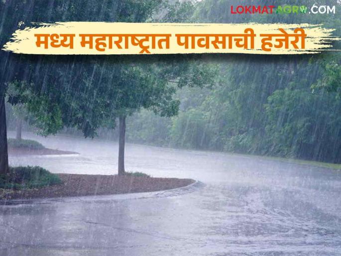 Maharashtra Weather Update: Chance of rain today in 'few' districts of the state; Read the IMD report in detail | Maharashtra Weather Update : राज्यात 'काही' जिल्ह्यात आज पावसाची शक्यता ; IMD चा रिपोर्ट वाचा सविस्तर Maharashtra Weather Update: Chance of rain today in 'few' districts of the state; Read the IMD report in detail | Maharashtra Weather Update : राज्यात 'काही' जिल्ह्यात आज पावसाची शक्यता ; IMD चा रिपोर्ट वाचा सविस्तर