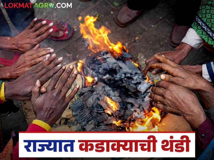 Maharashtra Weather Update : Cold has increased in all four divisions of Maharashtra, read IMD report in detail | Maharashtra Weather Update : महाराष्ट्रातील चारही विभागात गारठा वाढला, IMD चा रिपोर्ट वाचा सविस्तर