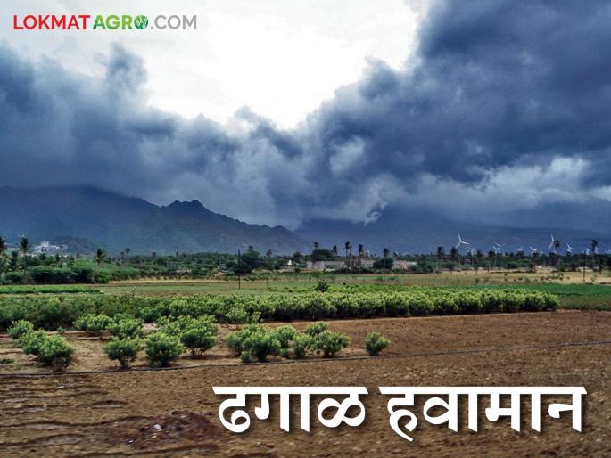 Maharashtra Weather Update: Coldness increases due to evaporative winds at 'these' places in the state; Read the detailed weather forecast | Maharashtra Weather Update : राज्यात 'या' ठिकाणी बाष्पयुक्त वाऱ्याने थंडीत वाढ; वाचा हवामान अंदाज सविस्तर Maharashtra Weather Update: Coldness increases due to evaporative winds at 'these' places in the state; Read the detailed weather forecast | Maharashtra Weather Update : राज्यात 'या' ठिकाणी बाष्पयुक्त वाऱ्याने थंडीत वाढ; वाचा हवामान अंदाज सविस्तर