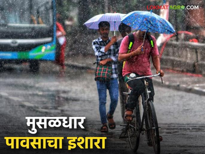 latest news Maharashtra Weather Update: Heavy rain continues; Read the alert given by IMD in detail | Maharashtra Weather Update : पावसाचा जोर कायम; IMD ने काय दिला अलर्ट वाचा सविस्तर latest news Maharashtra Weather Update: Heavy rain continues; Read the alert given by IMD in detail | Maharashtra Weather Update : पावसाचा जोर कायम; IMD ने काय दिला अलर्ट वाचा सविस्तर