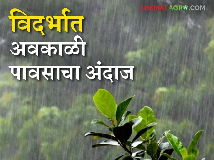 Maharashtra Weather Update: Temperatures rise due to fog and cloudy weather in the state; Read IMD report in detail | Maharashtra Weather Update : राज्यात धुके आणि ढगाळ हवामानाने तापमानात वाढ; वाचा IMD रिपोर्ट सविस्तर Maharashtra Weather Update: Temperatures rise due to fog and cloudy weather in the state; Read IMD report in detail | Maharashtra Weather Update : राज्यात धुके आणि ढगाळ हवामानाने तापमानात वाढ; वाचा IMD रिपोर्ट सविस्तर