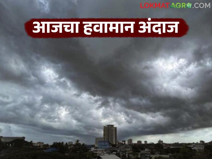 Maharashtra Weather Update: latest news Know the weather in detail in the next 24 hours. | Maharashtra Weather Update : येत्या २४ तासात कसे असेल हवामान जाणून घ्या सविस्तर Maharashtra Weather Update: latest news Know the weather in detail in the next 24 hours. | Maharashtra Weather Update : येत्या २४ तासात कसे असेल हवामान जाणून घ्या सविस्तर