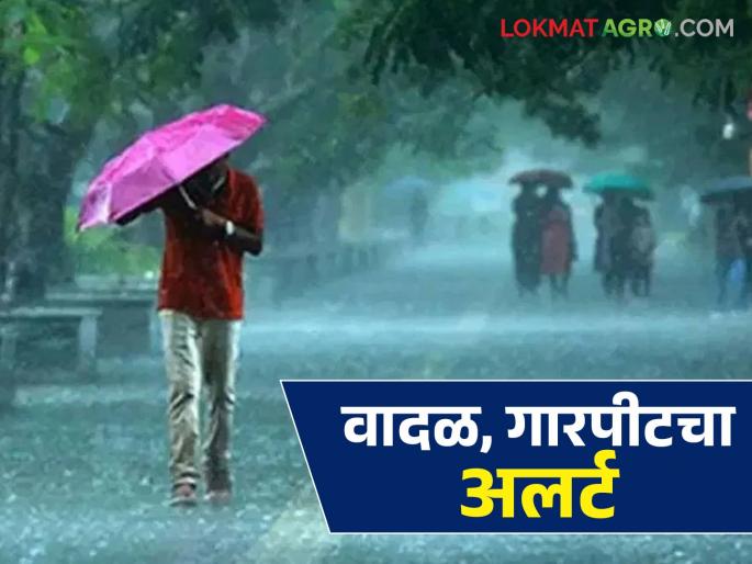 latest news Maharashtra Rain Alert: Pre-monsoon rains begin; 'These' districts at risk of hailstorm Read in detail | Maharashtra Rain Alert : पूर्वमोसमी पावसाची सुरुवात; 'या' जिल्ह्यांना गारपीटीचा धोका वाचा सविस्तर