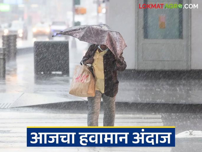 latest news Maharashtra Weather Update: Dahi Handi ceremony in the rain; Red alert for 'these' districts, read in detail | Maharashtra Weather Update : दहीहंडी सोहळा पावसातच; 'या' जिल्ह्यांना रेड अलर्ट वाचा सविस्तर latest news Maharashtra Weather Update: Dahi Handi ceremony in the rain; Red alert for 'these' districts, read in detail | Maharashtra Weather Update : दहीहंडी सोहळा पावसातच; 'या' जिल्ह्यांना रेड अलर्ट वाचा सविस्तर