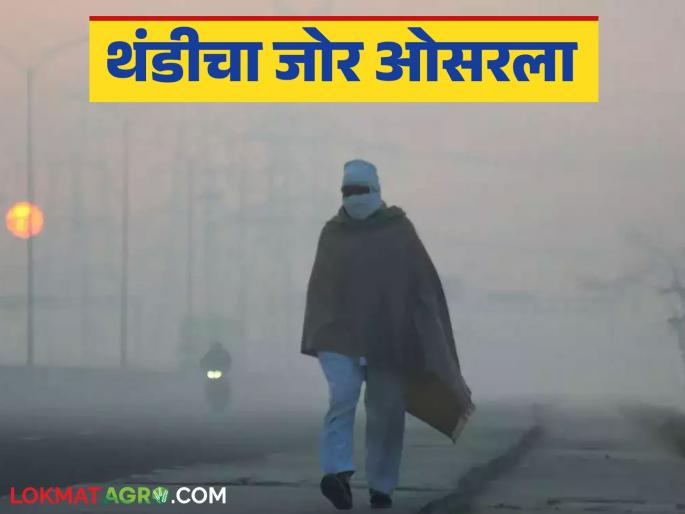 Maharashtra Weather Update: Increase in minimum temperature; Read the detailed IMD report on what the weather will be like today. | Maharashtra Weather Update : किमान तापमानात वाढ; कसे असेल आजचे हवामान वाचा IMD रिपोर्ट सविस्तर Maharashtra Weather Update: Increase in minimum temperature; Read the detailed IMD report on what the weather will be like today. | Maharashtra Weather Update : किमान तापमानात वाढ; कसे असेल आजचे हवामान वाचा IMD रिपोर्ट सविस्तर