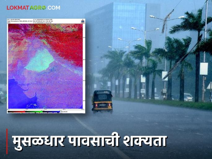 Maharashtra Weather Update : Impact of cyclone in the state; Heavy rain likely in 'these' district Read IMD report for details | Maharashtra Weather Update : राज्यात चक्रीवादळाचा परिणाम ; 'या' जिल्ह्यात मुसळधार पावसाची शक्यता IMD रिपोर्ट वाचा सविस्तर Maharashtra Weather Update : Impact of cyclone in the state; Heavy rain likely in 'these' district Read IMD report for details | Maharashtra Weather Update : राज्यात चक्रीवादळाचा परिणाम ; 'या' जिल्ह्यात मुसळधार पावसाची शक्यता IMD रिपोर्ट वाचा सविस्तर