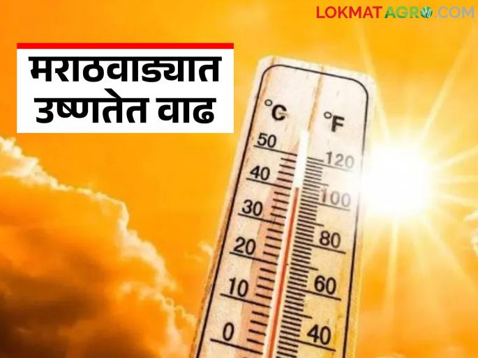 Maharashtra Weather Update: latest news Highest temperature recorded in Akola; Read IMD report in detail | Maharashtra Weather Update: अकोल्यात सर्वाधिक तापमानाची नोंद; वाचा IMD रिपोर्ट सविस्तर Maharashtra Weather Update: latest news Highest temperature recorded in Akola; Read IMD report in detail | Maharashtra Weather Update: अकोल्यात सर्वाधिक तापमानाची नोंद; वाचा IMD रिपोर्ट सविस्तर