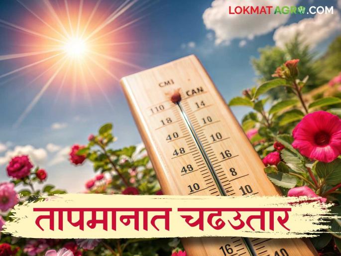Highest Temperature in Maharashtra: Latest news This is how the weather is changing; Read the IMD report in detail | Highest Temperature in Maharashtra: असा होतोय हवामानात बदल; IMD रिपोर्ट वाचा सविस्तर Highest Temperature in Maharashtra: Latest news This is how the weather is changing; Read the IMD report in detail | Highest Temperature in Maharashtra: असा होतोय हवामानात बदल; IMD रिपोर्ट वाचा सविस्तर