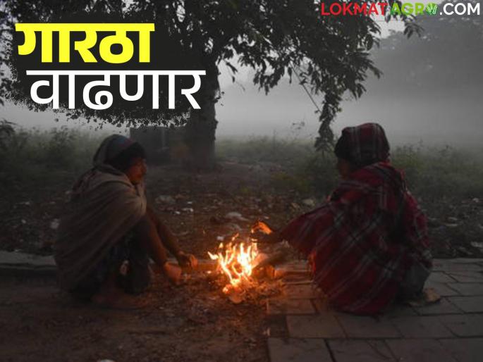Maharashtra Weather Update : The force of cold will increase now; Read the IMD report in detail | Maharashtra Weather Update : आता थंडीचा जोर वाढणार; IMD चा रिपोर्ट वाचा सविस्तर Maharashtra Weather Update : The force of cold will increase now; Read the IMD report in detail | Maharashtra Weather Update : आता थंडीचा जोर वाढणार; IMD चा रिपोर्ट वाचा सविस्तर