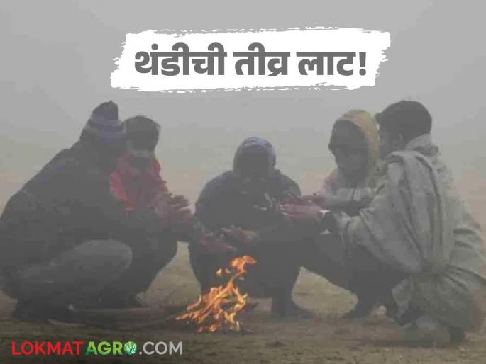 latest news Cold Wave Alert: Severe cold wave in the state; IMD issues alert, read in detail | Cold Wave Alert : राज्यात तीव्र थंडीची लाट; IMD ने जारी केला अलर्ट वाचा सविस्तर