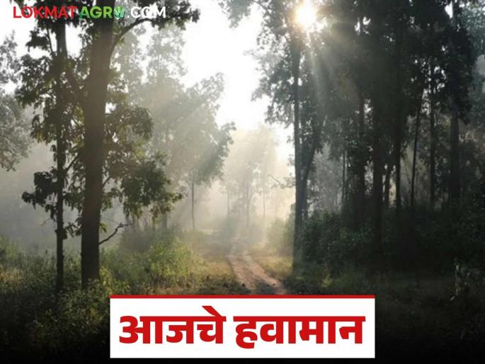 Maharashtra Weather Update: latest news How will the temperature be today? Read the IMD report in detail | Maharashtra Weather Update: कसे राहणार आजचे तापमान? वाचा IMD रिपोर्ट सविस्तर Maharashtra Weather Update: latest news How will the temperature be today? Read the IMD report in detail | Maharashtra Weather Update: कसे राहणार आजचे तापमान? वाचा IMD रिपोर्ट सविस्तर