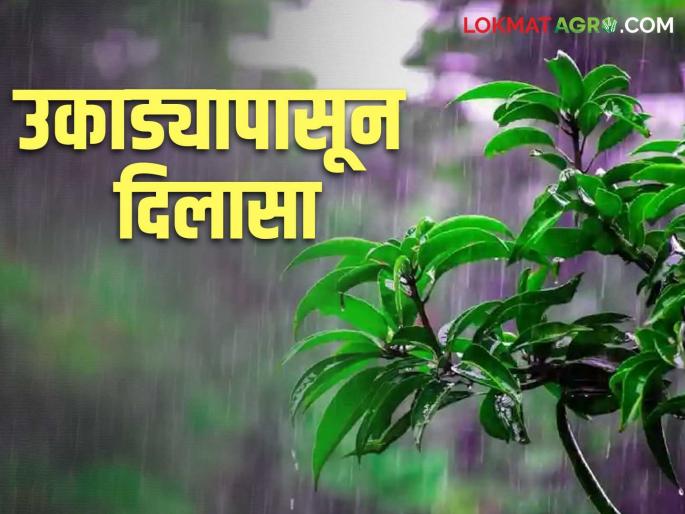 Maharashtra Weather Update: There will be some relief from the heat; What is today's weather forecast? | Maharashtra Weather Update: उकाड्यापासून काहीसा मिळणार दिलासा; काय आहे आजचा हवामान अंदाज Maharashtra Weather Update: There will be some relief from the heat; What is today's weather forecast? | Maharashtra Weather Update: उकाड्यापासून काहीसा मिळणार दिलासा; काय आहे आजचा हवामान अंदाज