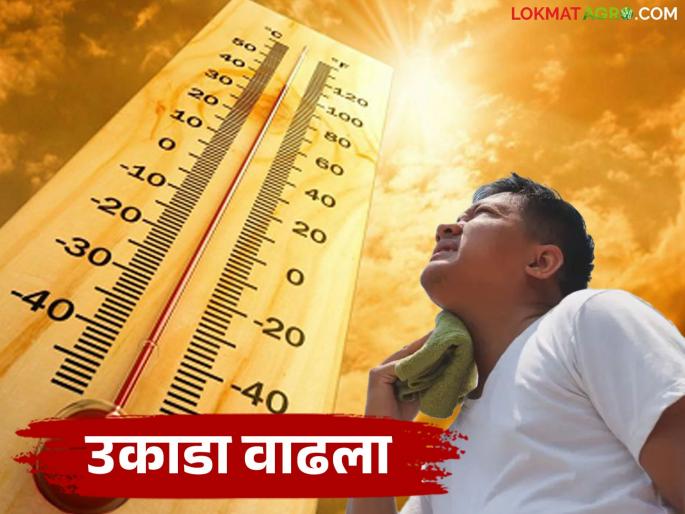 Maharashtra Weather Update: latest news Heat alert in the state; Read the reason in detail | Maharashtra Weather Update: राज्यात उष्णतेचा अलर्ट; काय आहे कारण वाचा सविस्तर Maharashtra Weather Update: latest news Heat alert in the state; Read the reason in detail | Maharashtra Weather Update: राज्यात उष्णतेचा अलर्ट; काय आहे कारण वाचा सविस्तर