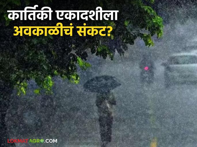 latest news Maharashtra Weather Update: Unseasonal weather crisis on Kartiki Ekadashi; Heavy rains likely in 'these' districts | Maharashtra Weather Update : कार्तिकी एकादशीला अवकाळीचं संकट; 'या' जिल्ह्यांत मुसळधार सरींची शक्यता