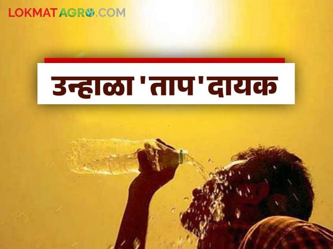 Maharashtra Weather Update: latest news What is the IMD forecast for the first week of March? Read in detail | Maharashtra Weather Update: मार्च महिन्याच्या पहिल्या आठवड्यात IMD चा अंदाज काय? वाचा सविस्तर Maharashtra Weather Update: latest news What is the IMD forecast for the first week of March? Read in detail | Maharashtra Weather Update: मार्च महिन्याच्या पहिल्या आठवड्यात IMD चा अंदाज काय? वाचा सविस्तर