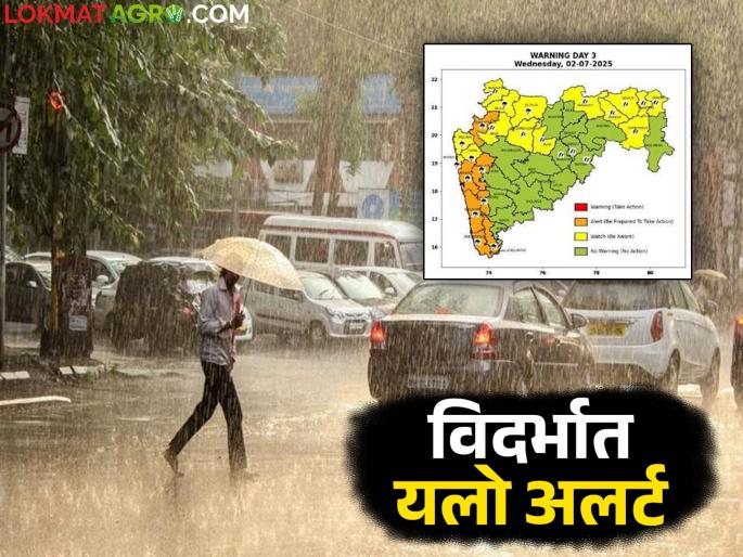 latest news Maharashtra Weather Alert: Heavy rains expected in the state; IMD issues alert, read in detail | Maharashtra Weather Alert : राज्यात पावसाचे मुसळधार आगमन; IMD ने जारी केला अलर्ट वाचा सविस्तर