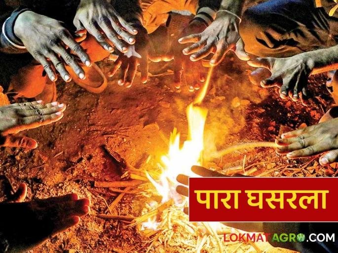Maharashtra Weather Update: Season's lowest temperature recorded in Pune; Read the IMD report in detail | Maharashtra Weather Update : पुण्यात हंगामातील सर्वात कमी तापमानची नोंद ; राज्यात थंडी वाढणार का? IMD चा रिपोर्ट वाचा सविस्तर Maharashtra Weather Update: Season's lowest temperature recorded in Pune; Read the IMD report in detail | Maharashtra Weather Update : पुण्यात हंगामातील सर्वात कमी तापमानची नोंद ; राज्यात थंडी वाढणार का? IMD चा रिपोर्ट वाचा सविस्तर